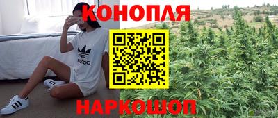 каннабис Новозыбков